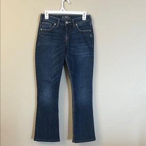 Silver Natsuki Jeans Dark Wash Flare Jeans Size 28